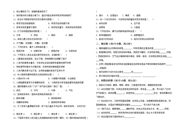 鲁教版七年级生物上册期中考试题及答案下载第2页