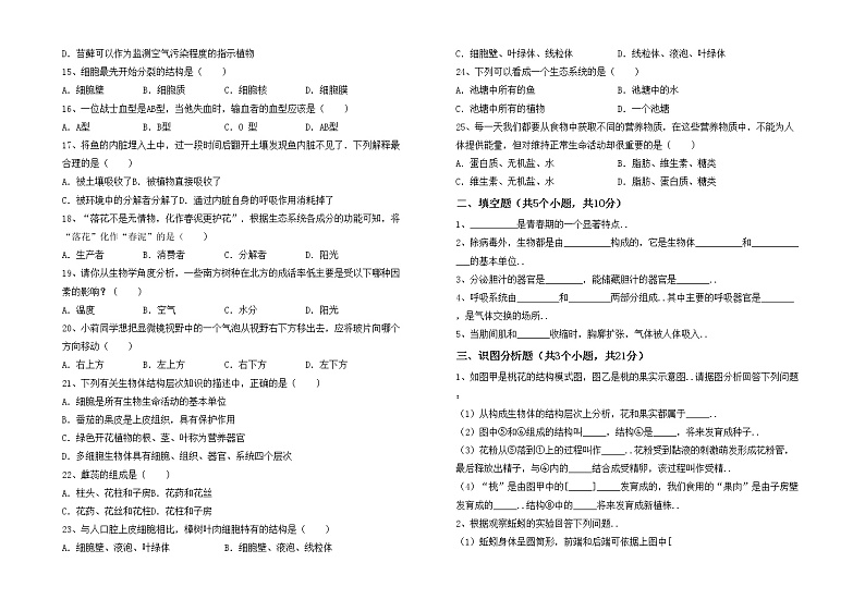 鲁教版七年级生物上册期中模拟考试加答案练习题第2页