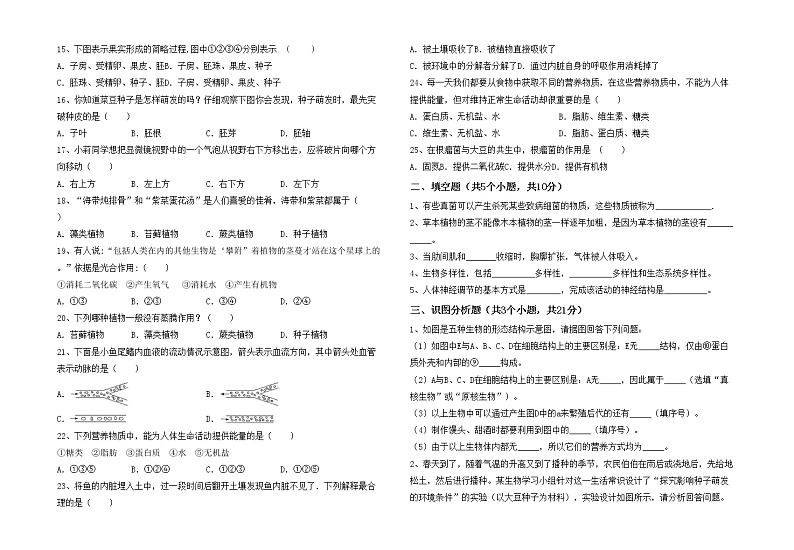 鲁教版七年级生物上册月考考试【及答案】练习题第2页