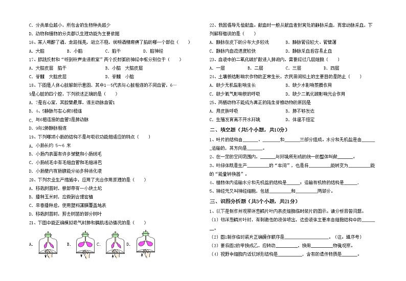 鲁教版七年级生物上册月考测试卷（附答案）02