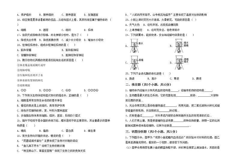 鲁教版七年级生物上册月考考试（免费）练习题02