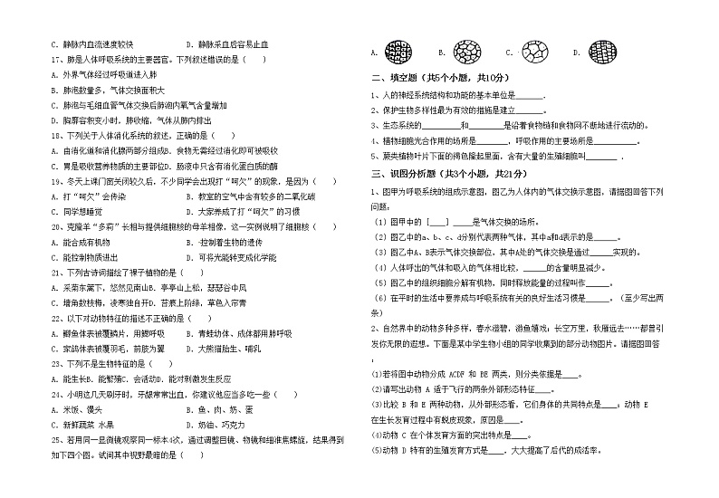 鲁教版七年级生物上册月考测试卷及答案02