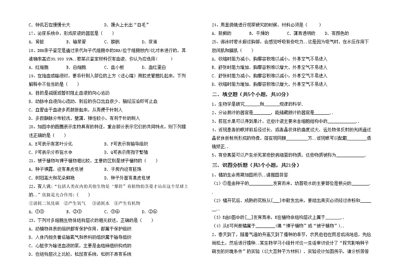鲁教版七年级生物上册月考测试卷及完整答案第2页