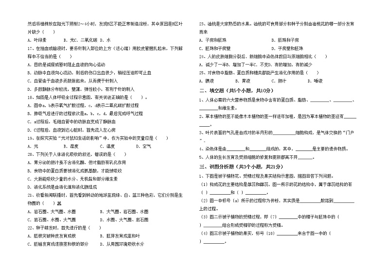 鲁教版七年级生物上册月考测试卷（最新）02