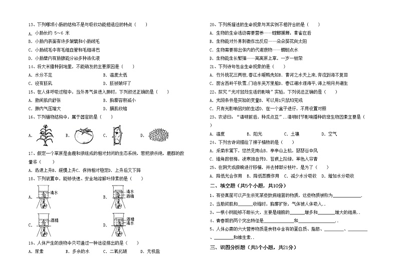 鲁教版七年级生物上册月考测试卷（汇编）第2页