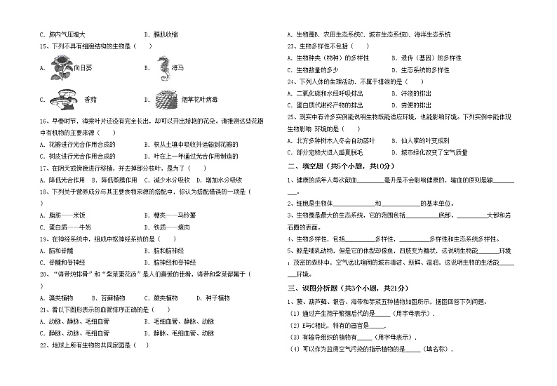 鲁教版七年级生物上册月考测试卷(及答案)02