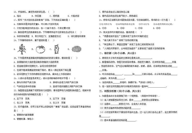 鲁教版七年级生物上册月考测试卷及答案【通用】第2页