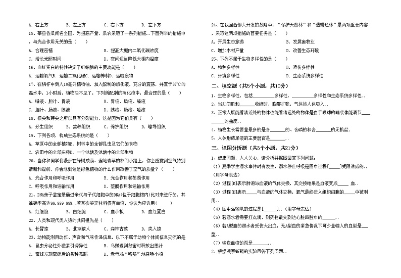 鲁教版七年级生物上册月考测试卷（A4打印版）第2页