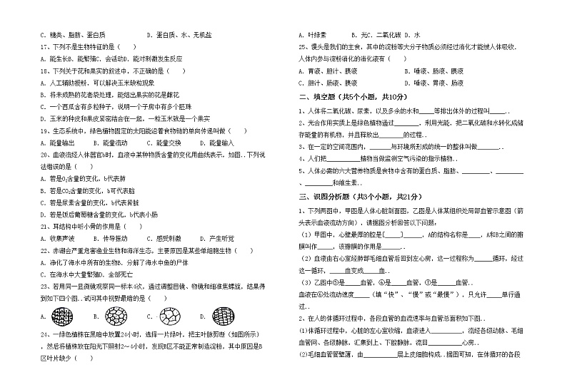 鲁教版七年级生物上册月考测试卷及答案【全面】02