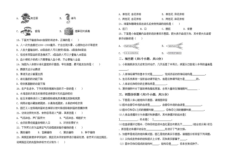 鲁教版七年级生物上册月考测试卷（完整版）第2页