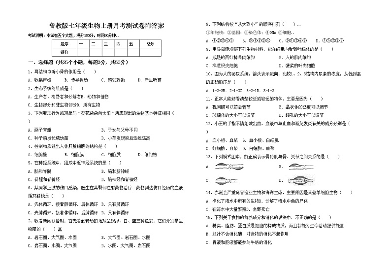 鲁教版七年级生物上册月考测试卷附答案第1页