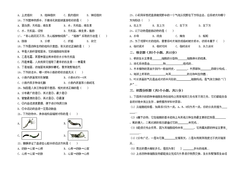 鲁教版七年级生物上册月考考试题附答案02