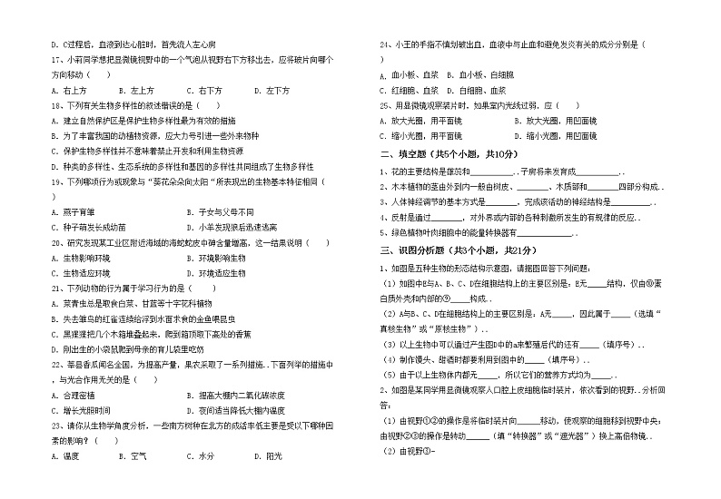 鲁教版七年级生物上册月考考试带答案练习题02