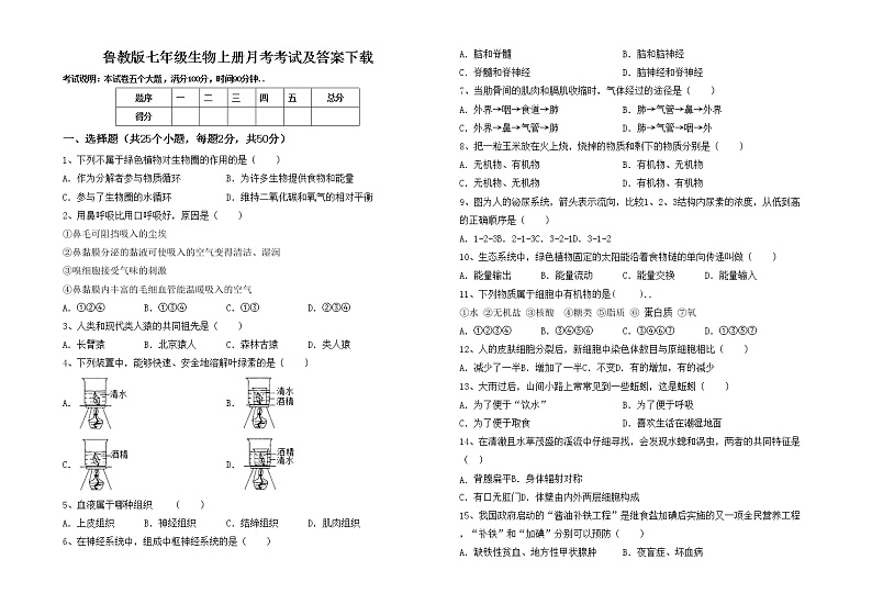 鲁教版七年级生物上册月考考试及答案下载练习题第1页