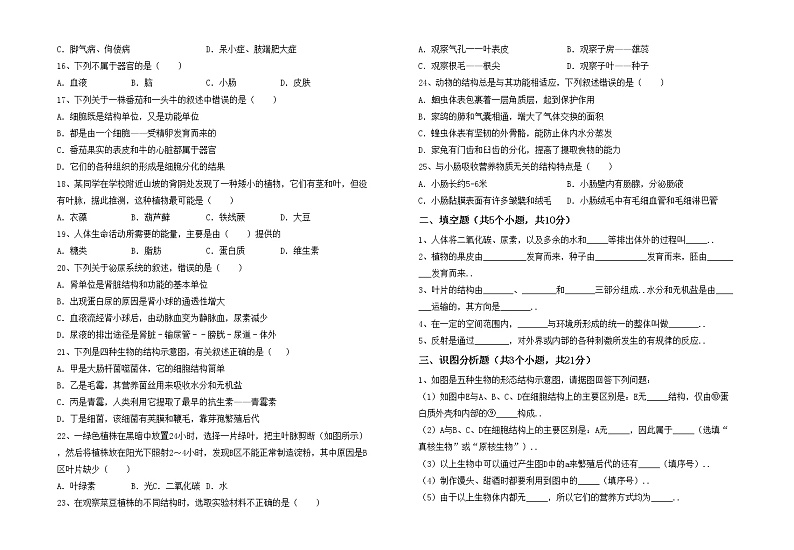 鲁教版七年级生物上册月考考试及答案下载练习题第2页