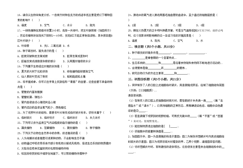 鲁教版七年级生物上册月考考试卷（最新）02