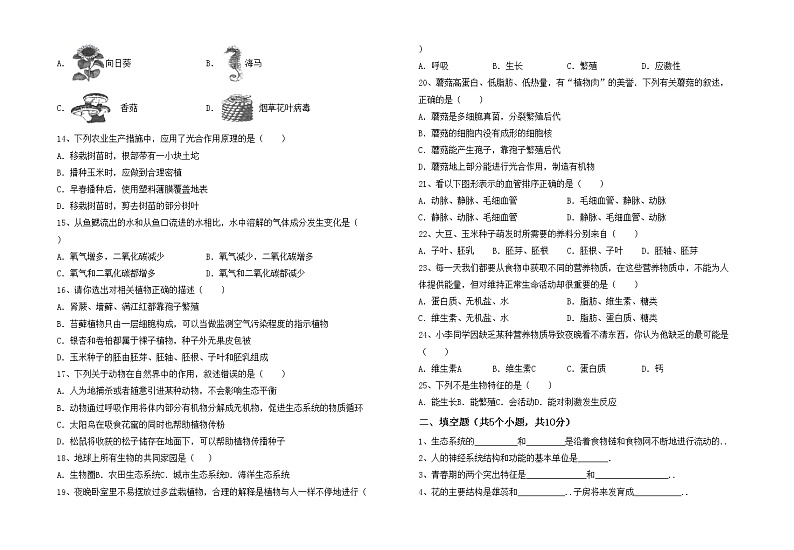 鲁教版七年级生物上册月考考试卷（下载）02