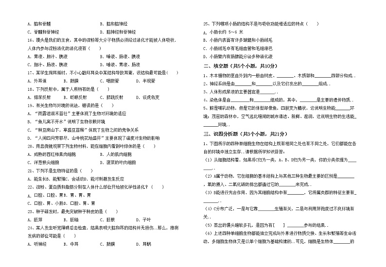 鲁教版七年级生物上册月考考试卷及答案【A4打印版】第2页