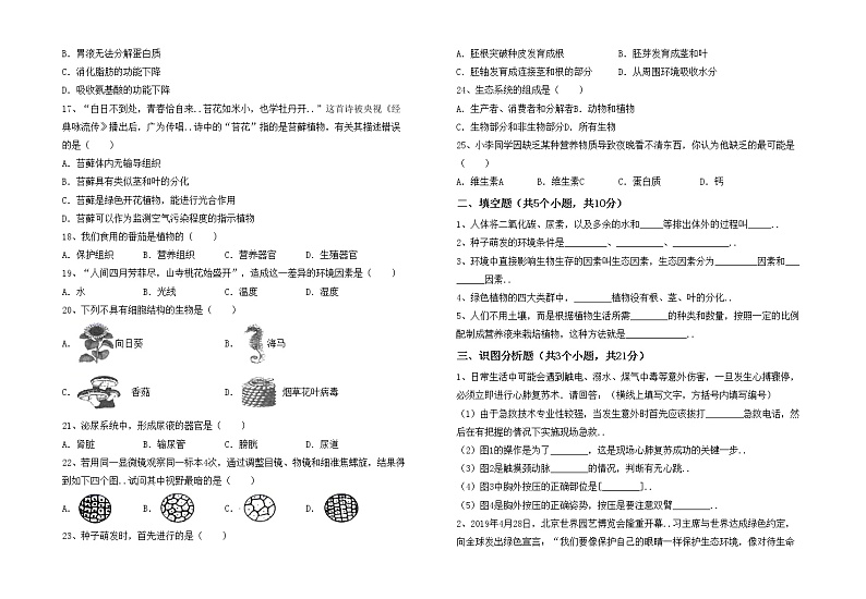 鲁教版七年级生物上册月考考试卷及答案【汇总】02
