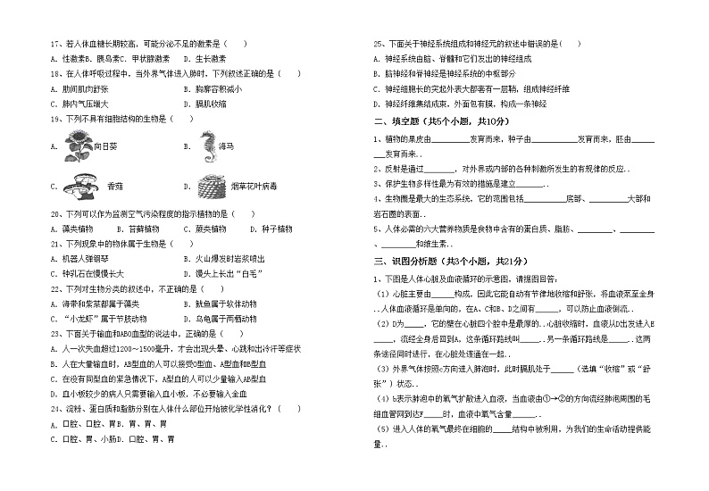 鲁教版七年级生物上册月考考试题（完整版）第2页