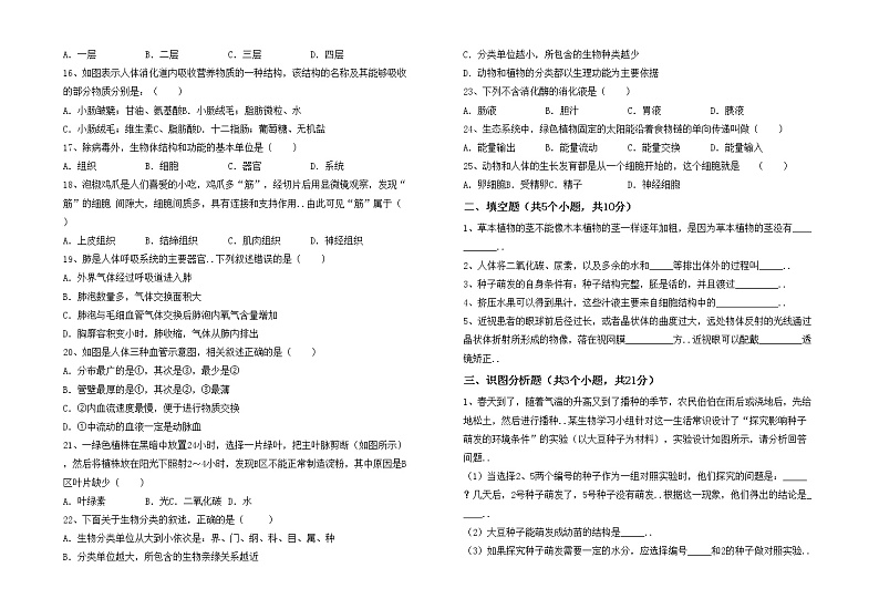 鲁教版七年级生物上册月考考试题【附答案】02