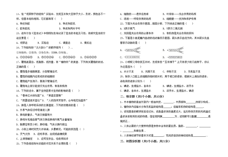 鲁教版七年级生物上册月考试卷（新版）第2页