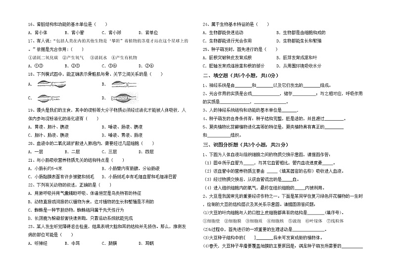 鲁教版七年级生物上册月考试卷（通用）02