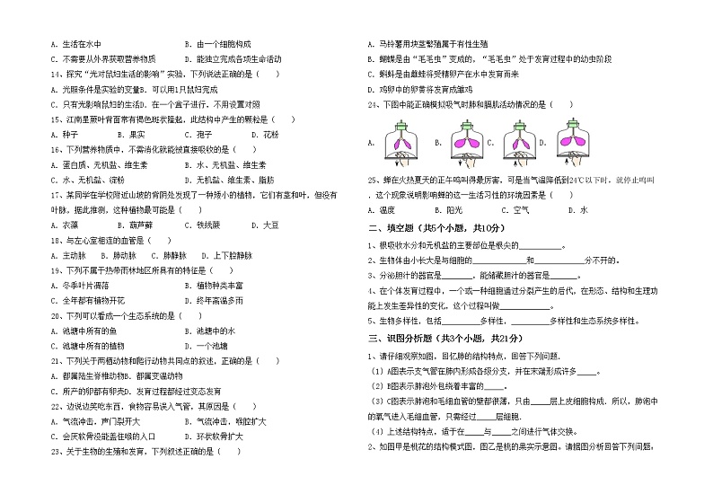 鲁教版七年级生物上册月考试卷（下载）02