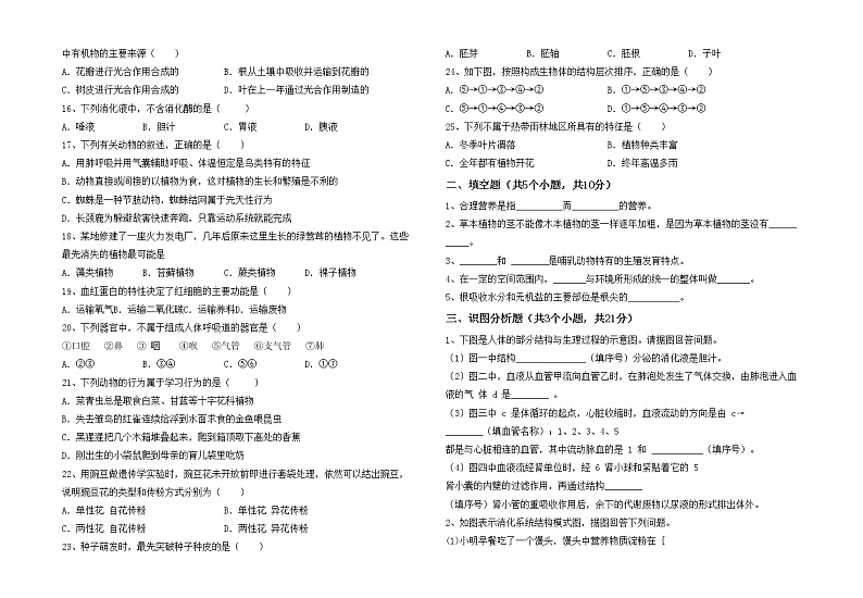 鲁教版七年级生物上册月考试卷及答案【A4打印版】第2页