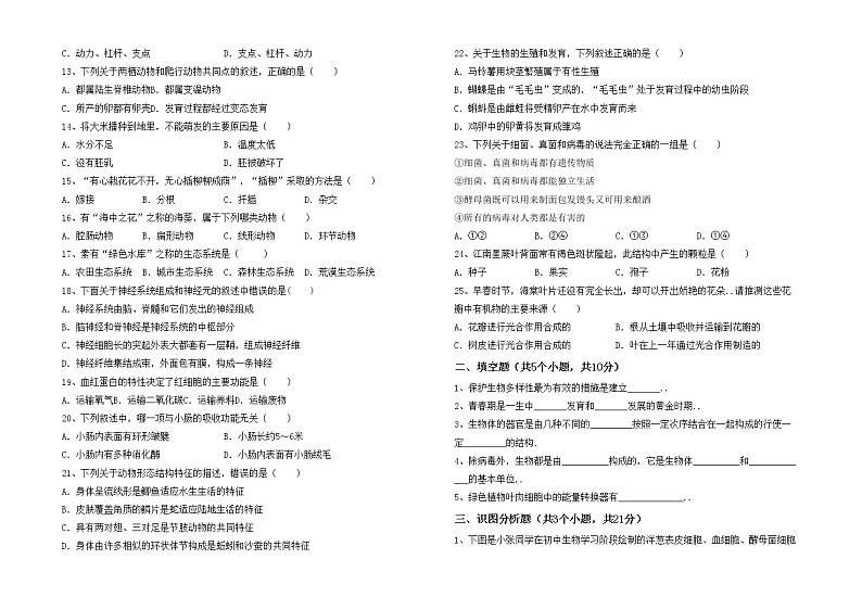鲁教版七年级生物上册月考考试题及答案【全面】02