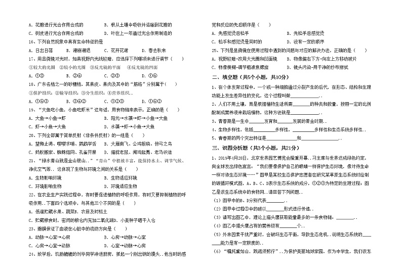 鲁教版七年级生物上册月考试卷（A4打印版）第2页