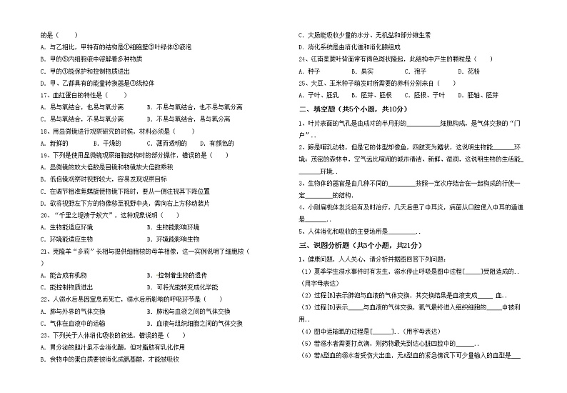 鲁教版七年级生物上册月考试卷及答案02