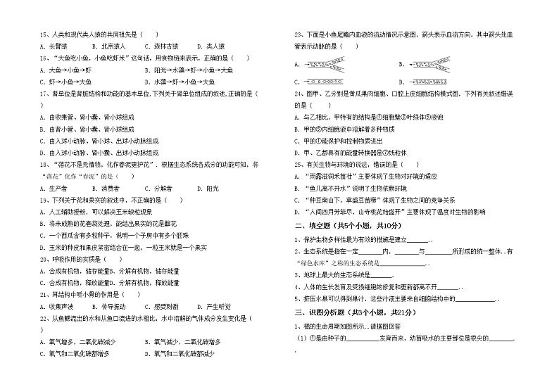 鲁教版七年级生物上册月考模拟考试及答案下载练习题第2页