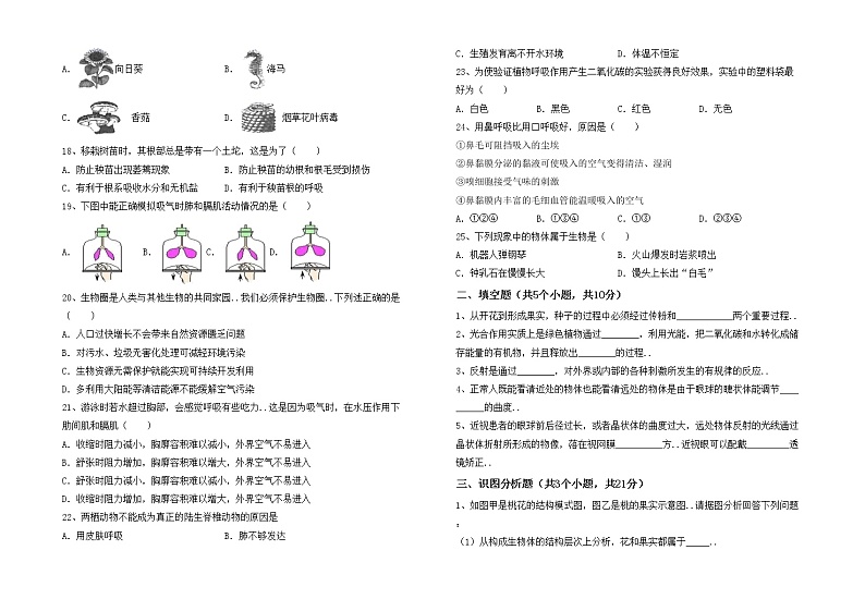 鲁教版七年级生物上册月考模拟考试【及答案】练习题第2页