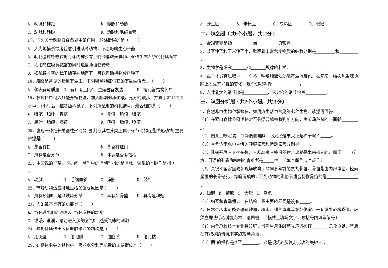 鲁教版七年级生物上册月考模拟考试及答案2练习题第2页