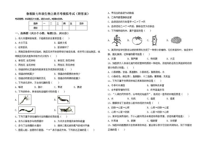 鲁教版七年级生物上册月考模拟考试（附答案）练习题第1页