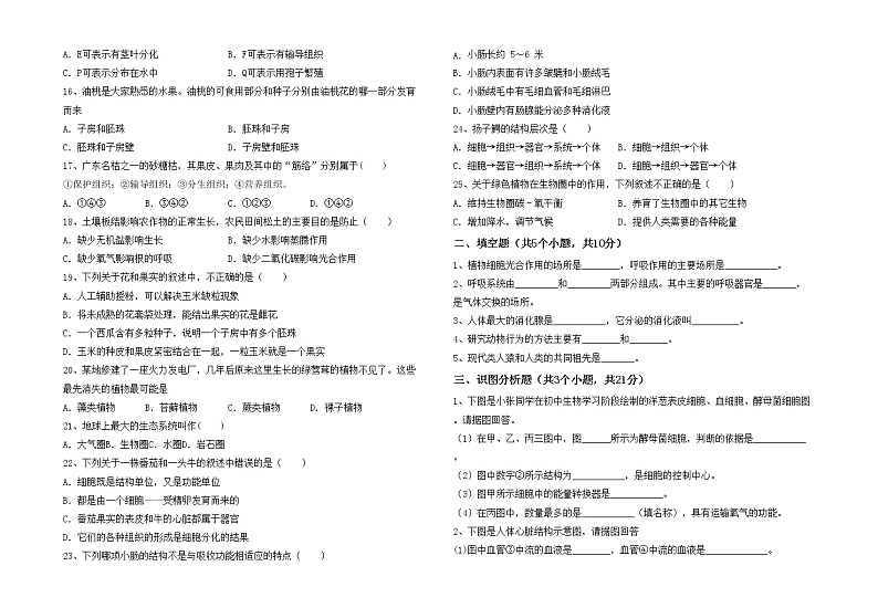 鲁教版七年级生物上册月考模拟考试（附答案）练习题第2页