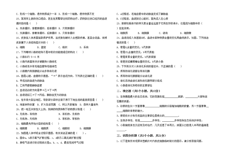 鲁教版七年级生物上册月考模拟考试附答案练习题第2页