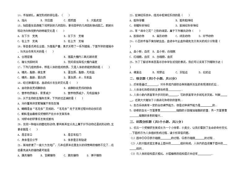鲁教版七年级生物上册月考考试题加答案第2页
