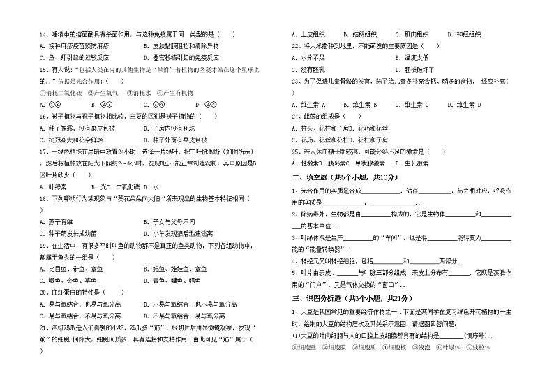 鲁教版七年级生物上册月考考试题及答案下载02