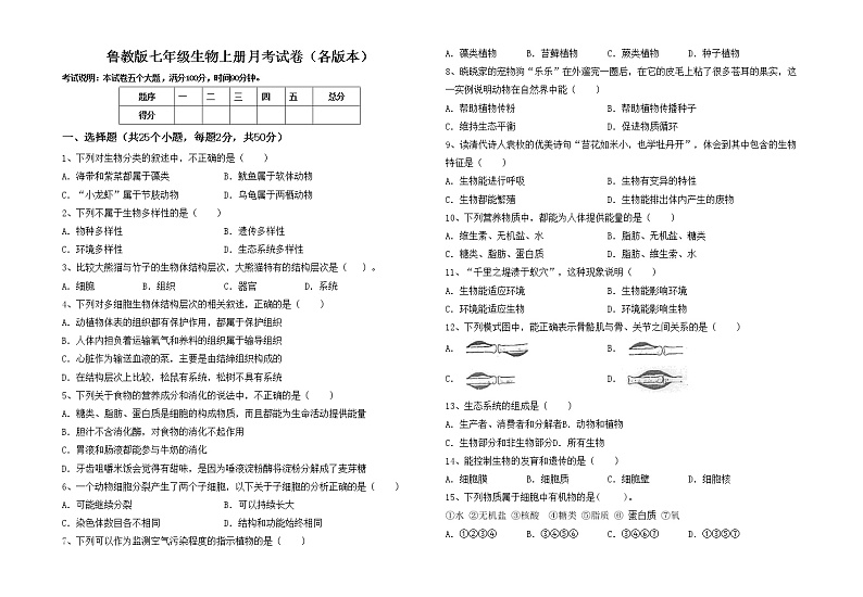 鲁教版七年级生物上册月考试卷（各版本）第1页