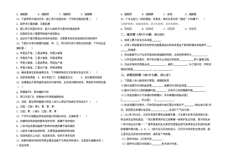 鲁教版七年级生物上册月考模拟考试(及答案)练习题第2页