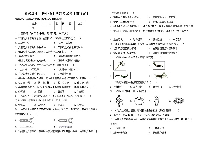 鲁教版七年级生物上册月考试卷【附答案】第1页