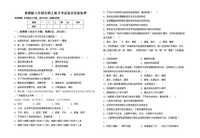 鲁教版七年级生物上册月考试卷及答案免费01