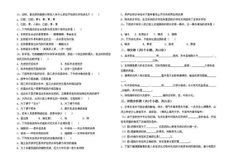 鲁教版七年级生物上册月考试卷及答案【新版】第2页