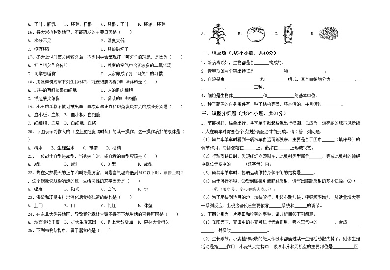 鲁教版七年级生物上册月考试卷及答案【免费】02