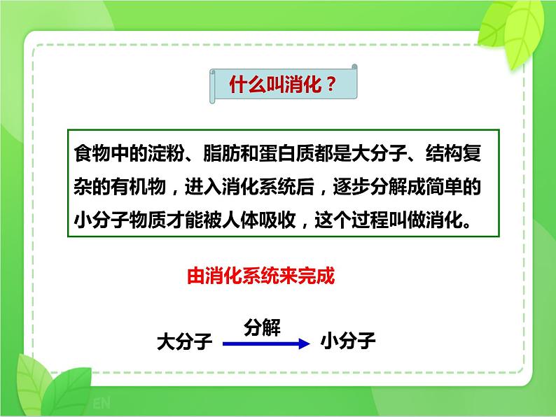 4.2.2消化和吸收（课件）-2021-2022学年七年级生物下册课件（人教版）第3页