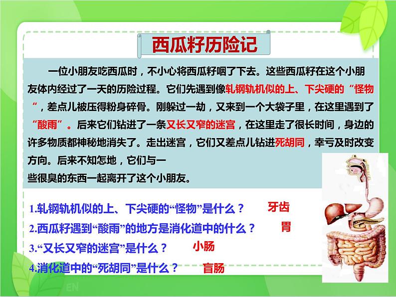 4.2.2消化和吸收（课件）-2021-2022学年七年级生物下册课件（人教版）第7页