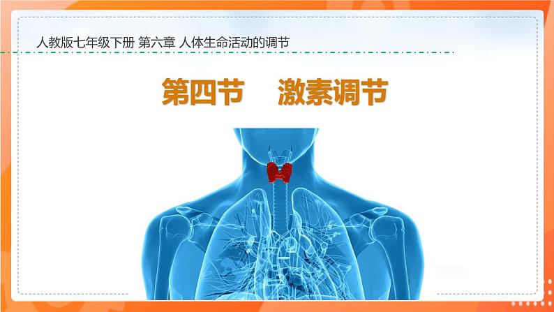 4.6.4激素调节-2021-2022学年七年级生物下学期同步课件（人教版）01