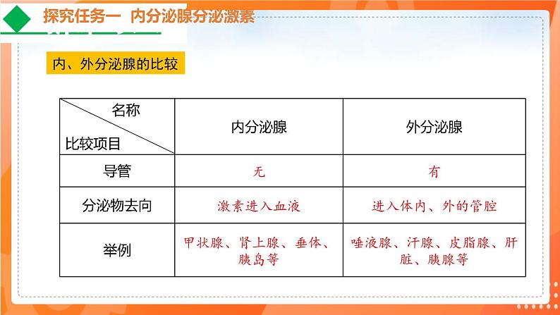 4.6.4激素调节-2021-2022学年七年级生物下学期同步课件（人教版）06